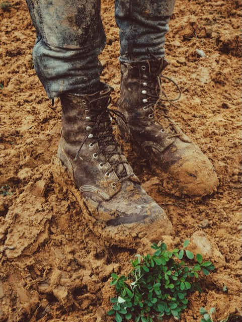 Red Wing Heritage 8-Inch Logger 4585 – Briar Oil Slick