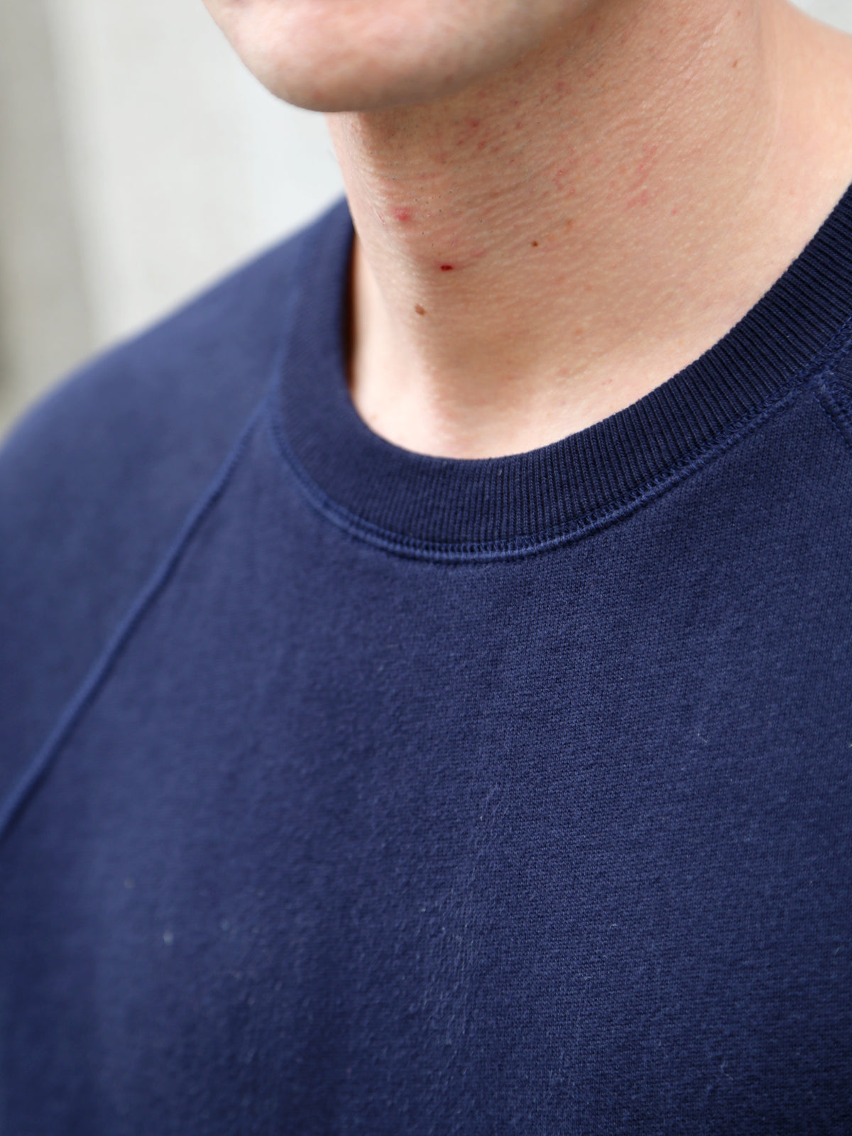 Nudie Jeans Kaj Short Sleeved Sweatshirt – Blueberry (150595)