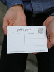 Papa Nui Coral Cruiser Sunglasses – Olive