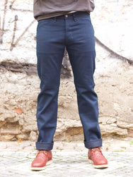 Indigofera Swearengen Ponderosa Dusk