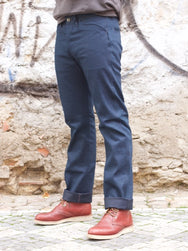 Indigofera Swearengen Ponderosa Dusk