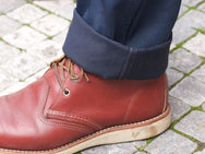 Indigofera Swearengen Ponderosa Dusk