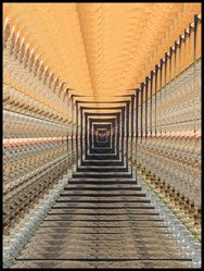 Indigofera x Israel Nash Travel On Blanket