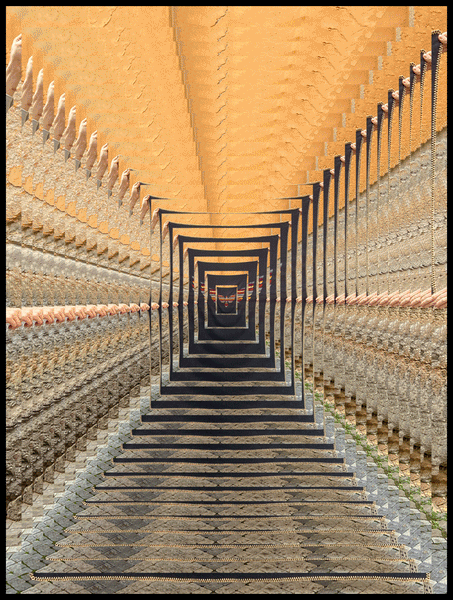 Indigofera x Israel Nash Travel On Blanket