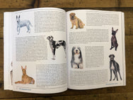 The Heritage Post No.37 - March 2021