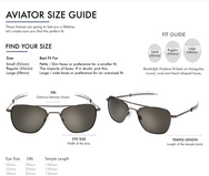 Randolph Aviator - Gunmetal / SkyTec™ Glass - American Gray