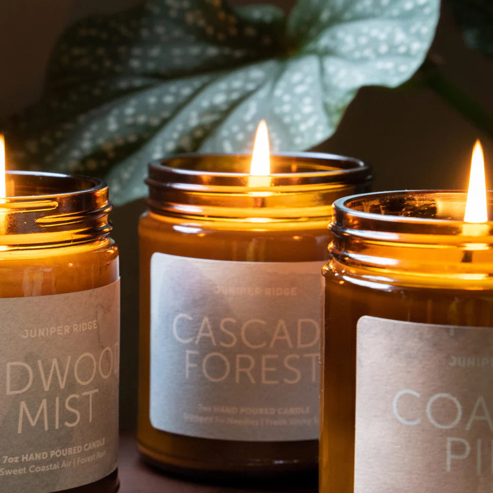 Juniper Ridge Coastal Pine Essential Oil Candle