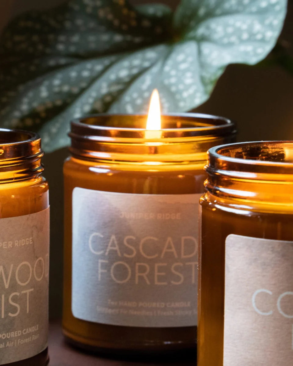 Juniper Ridge Cascade Forest Essential Oil Candle