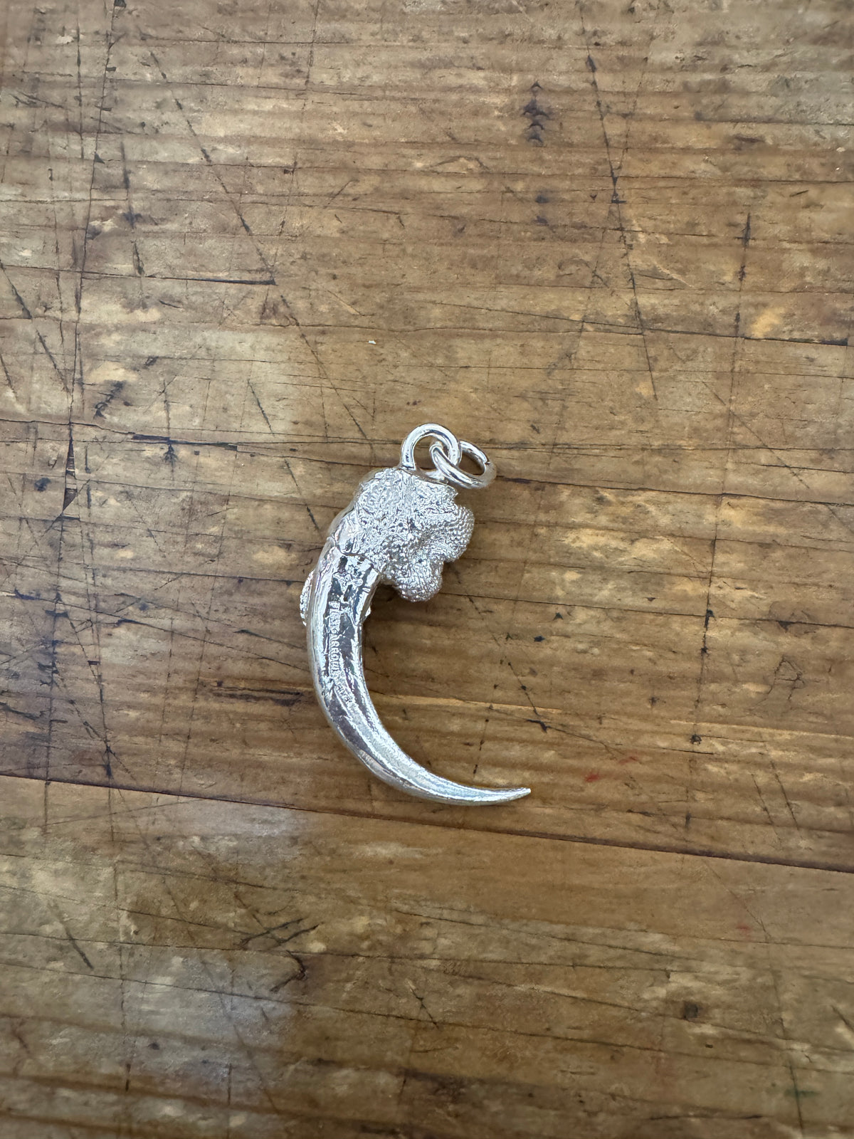 First Arrow’s Large Eagle Claw Pendant with Turquoise “Left” – P-024L
