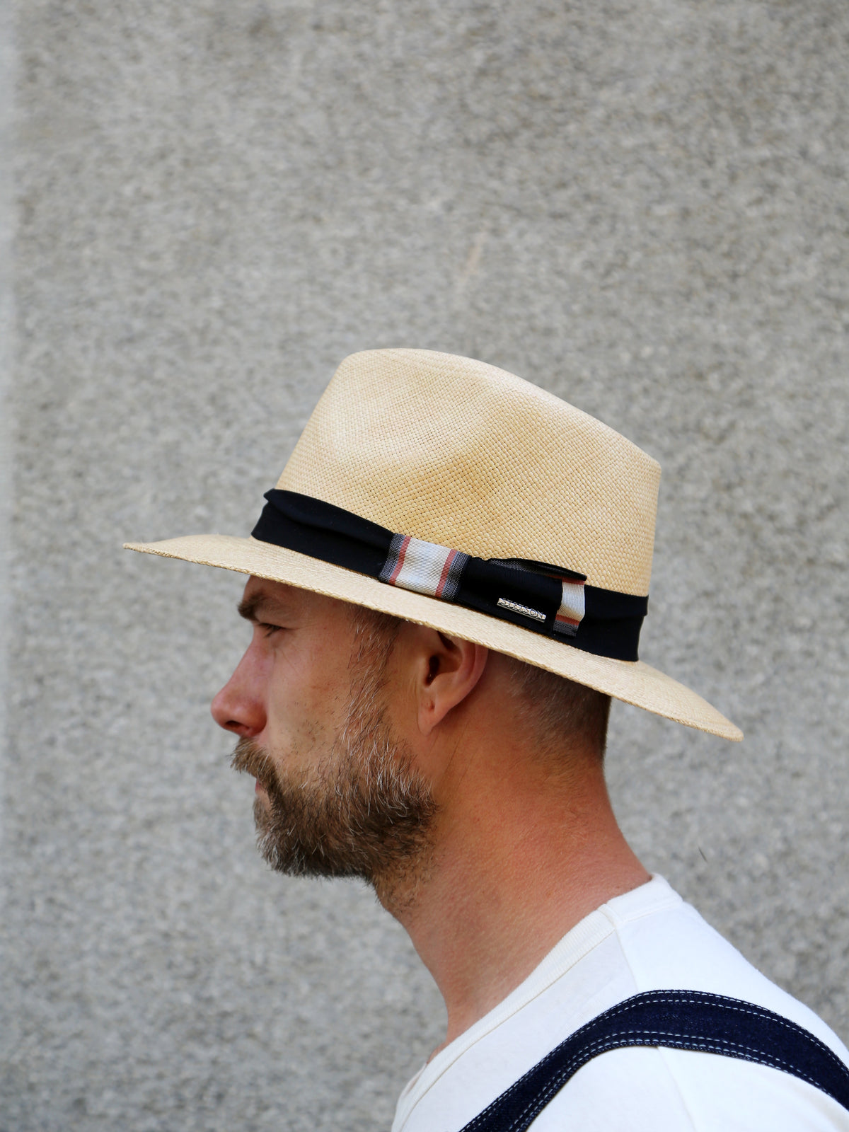 Stetson Traveller Panama Hat (2468439)