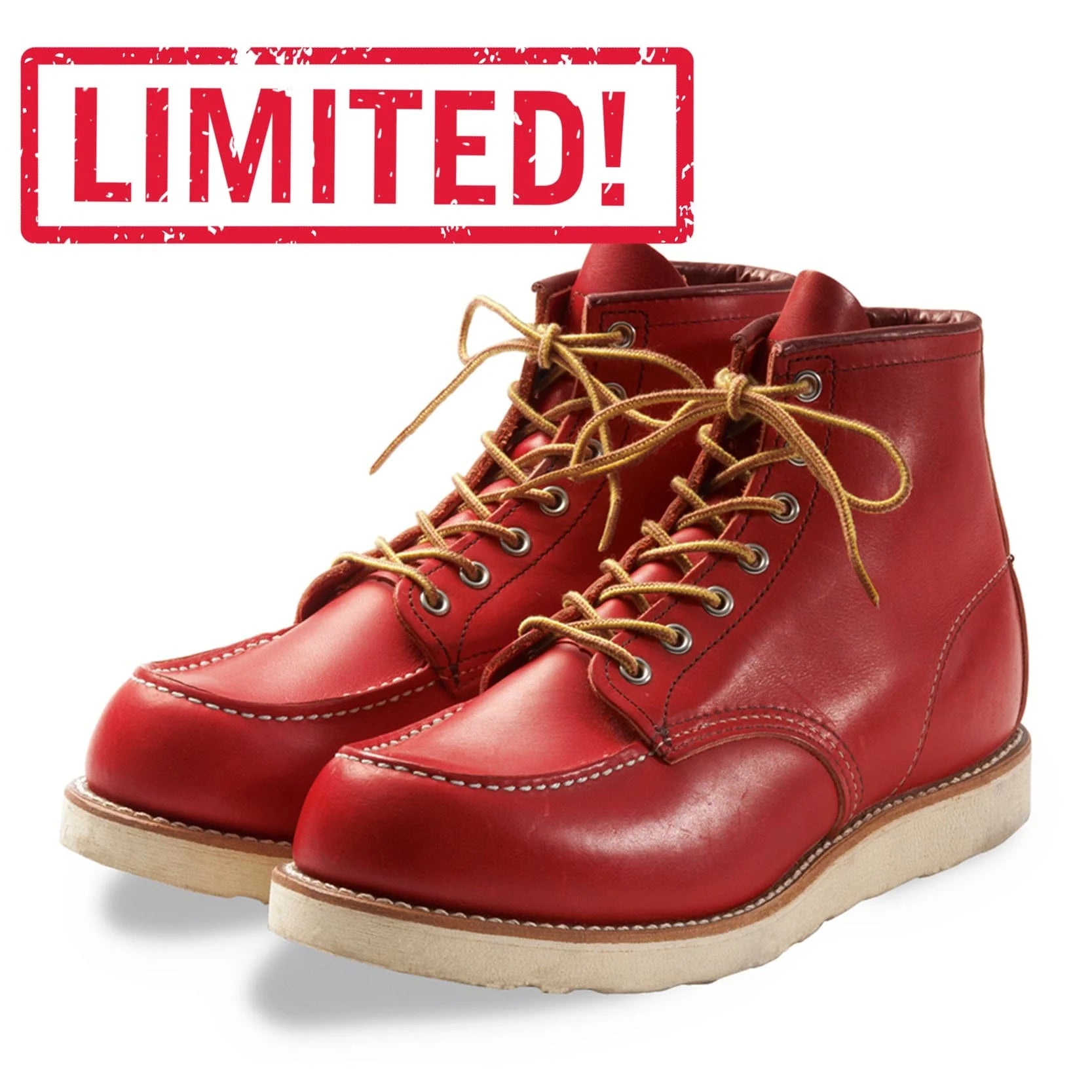Red wing Irish setter 879