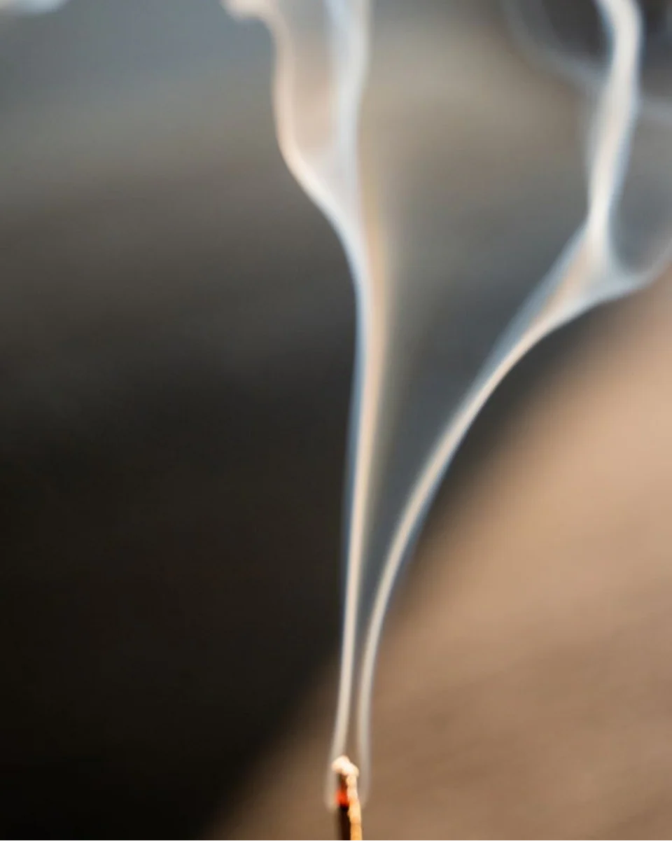 Juniper Ridge California Juniper Campfire Incense (20 Sticks)