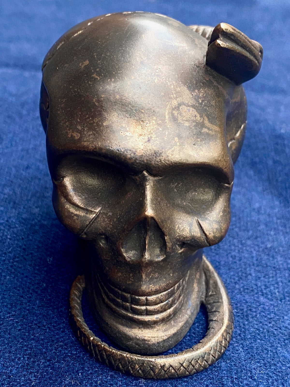 Black Sign Bronze Victorian Skull and Snake Paperweight (bssa-21608BLK)